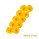 photo-2937023