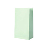 Пакет подарочный 13х24х8 см, мятный